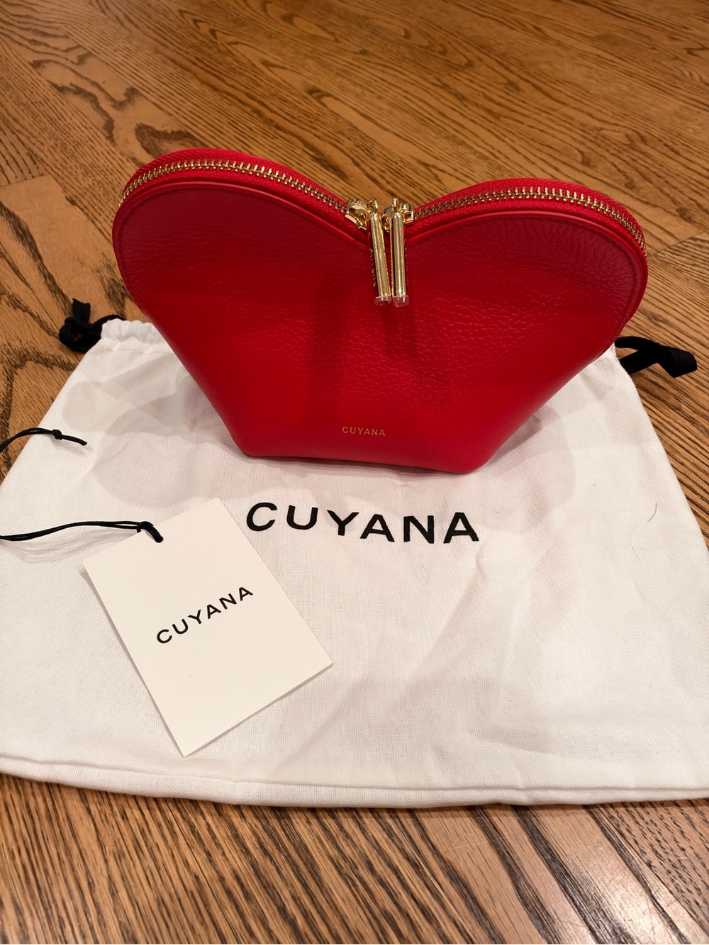 Cuyana Mini Heart Case Red